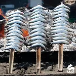 Marina 1 - Фуэнхирола