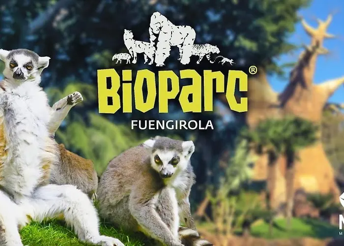 Marina 1 - Apartment